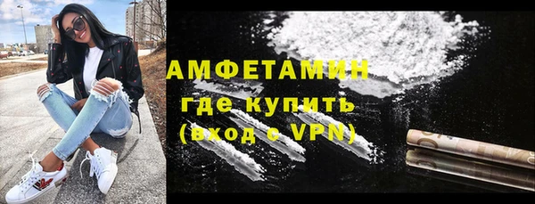 индика Балабаново