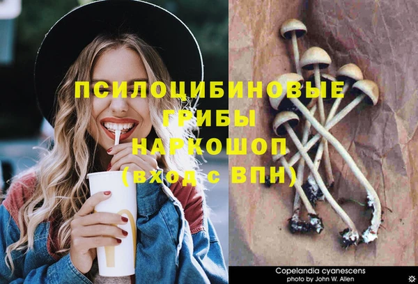индика Балабаново