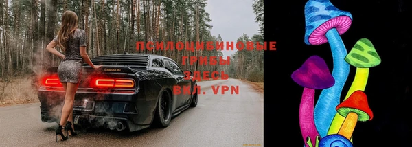 индика Балабаново