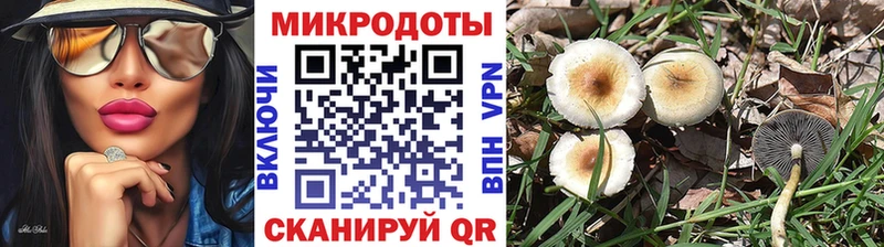 Псилоцибиновые грибы MAGIC MUSHROOMS  Грязи 